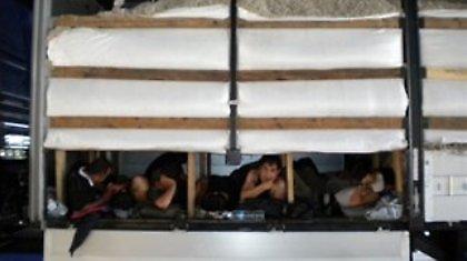 Λαθρομετανάστες σε παλέτες με σταφύλια