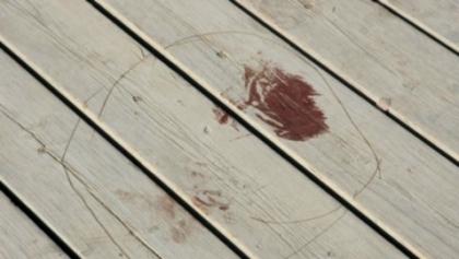 «Θέλουν να με σκοτώσουν»