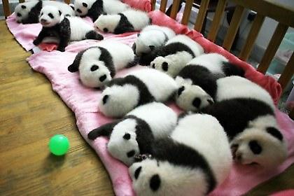 Κοιμούνται… Πάντα!