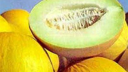 Μολυσμένα πεπόνια σε πάνω από 18 πολιτείες των ΗΠΑ