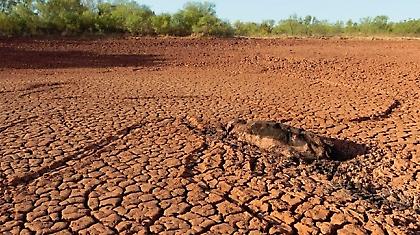 Η γη... στεγνώνει