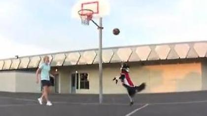 Το σκυλί που παίζει μπάσκετ (Video)