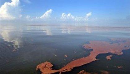 Κίνδυνος οικολογικής καταστροφής στη Νέα Ζηλανδία