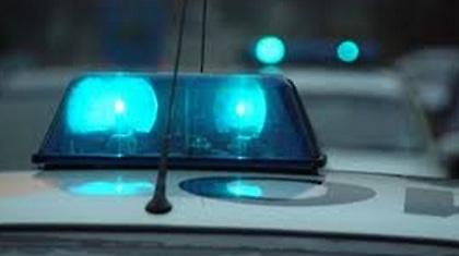 «Φούντωσε» τον κήπο του με 31… χασισόδεντρα!