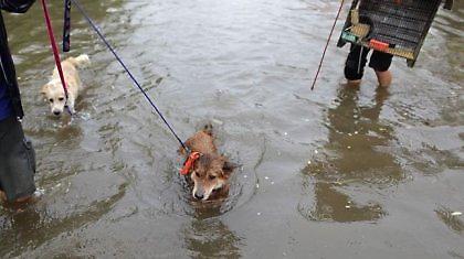 Βιβλικές καταστροφές στην Ταϊλάνδη