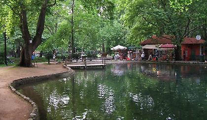 Ένα ταξίδι «φουλ-κομπλέ»