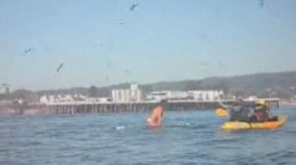 Παραλίγο να τους καταπιεί φάλαινα! (vid)