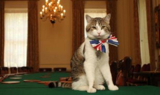 «Κυνηγάει θηλυκά αντί να κάνει τη δουλειά του»!