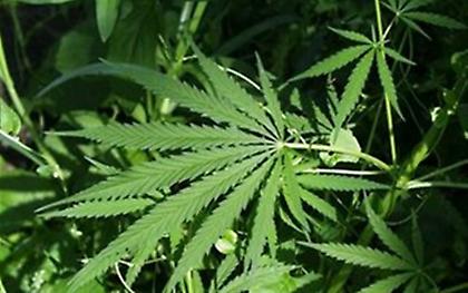 Συλλήψεις για ναρκωτικά σε Νέα Σμύρνη και Μαρούσι