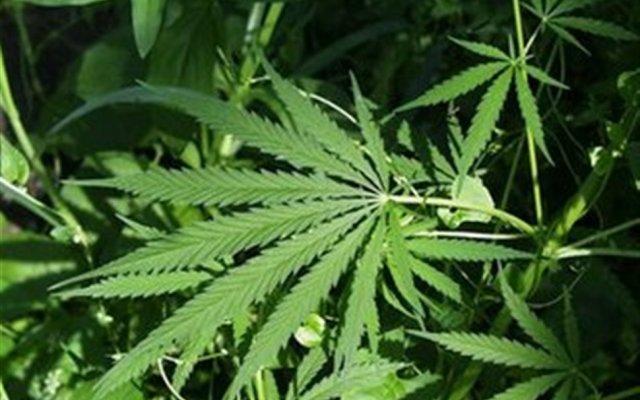 Συλλήψεις για ναρκωτικά σε Νέα Σμύρνη και Μαρούσι