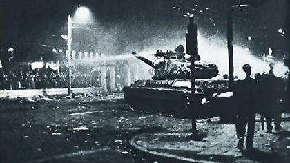 Τζάμπα μάγκες δεν τους λες