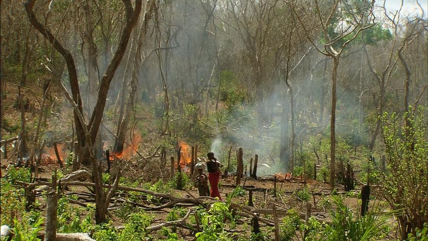 Το ταξίδι ξεκινά με την φύση…