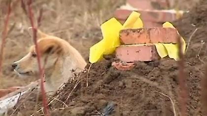 Στο πλευρό του αφεντικού του ακόμα και… στον τάφο (video)