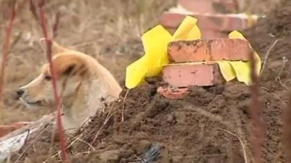 Στο πλευρό του αφεντικού του ακόμα και… στον τάφο (video)