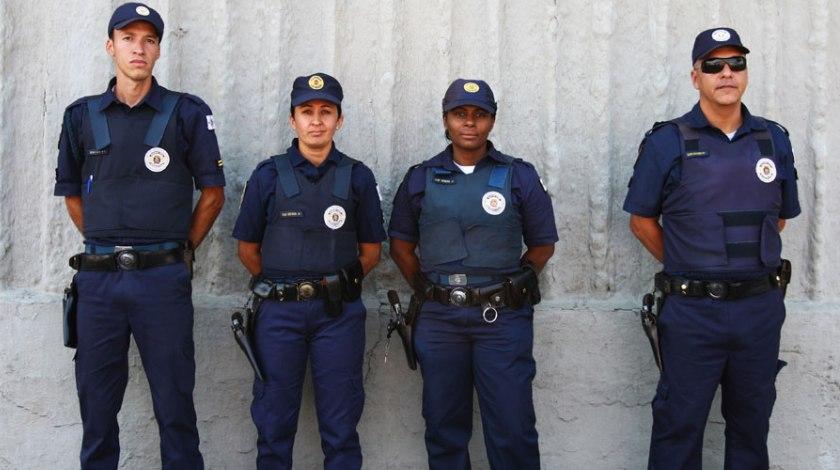 Κάθε πιλότος και ένας πολιτσμάνος!