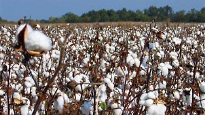 Σε τροχιά πληρωμών ο ΕΛΓΑ