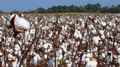 Σε τροχιά πληρωμών ο ΕΛΓΑ