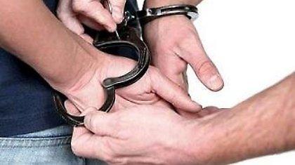 Συνελήφθησαν μέλη της συμμορίας «Ροζ Πάνθηρες»