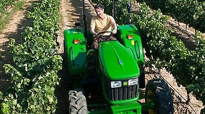 Κουρσάρες & σκυλάδικα στα χωριά. Και τώρα τι;