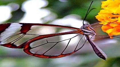 Η φιέστα ήταν χέστα και το παραμύθι παραμύθιασμα