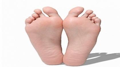 Σας Γράφω στις Πατούσες μου