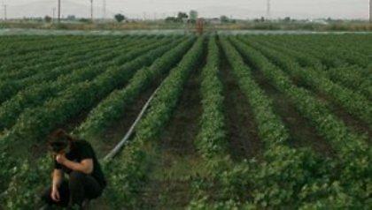 Σήμερα οι αποζημιώσεις στους αγρότες