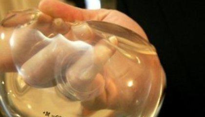 Η Iντερπόλ αναζητά τον ιδρυτή της PIP