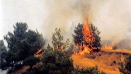 Μέχρι την Κρήτη είχαν φτάσει οι Τούρκοι πράκτορες-εμπρηστές;