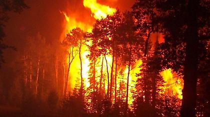 Έκαιγαν και σκότωναν στο όνομα της Τουρκίας