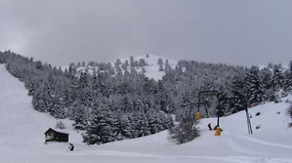 Γίναμε μια εμετική, ανθρωποφαγική ζούγκλα