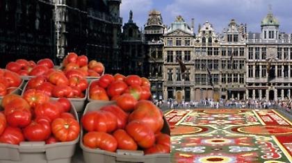 Ντομάτες από το Βέλγιο