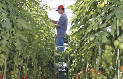 Κομπίνα εκατομμυρίων!