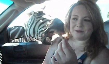 «Θέλω το πατατάκι σου» (vid)