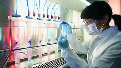 Επιστρέφει ο εφιάλτης της γρίπης των πτηνών