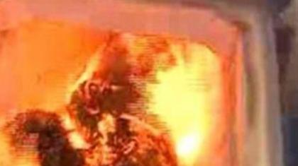 Καίνε ζωντανά τα αδέσποτα σκυλιά ενόψει Euro