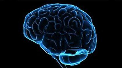 Σε άλλο σημείο του εγκεφάλου το κέντρο του λόγου