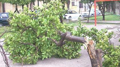 Θυελλώδεις άνεμοι και καταρρακτώδης βροχή στην Αττική