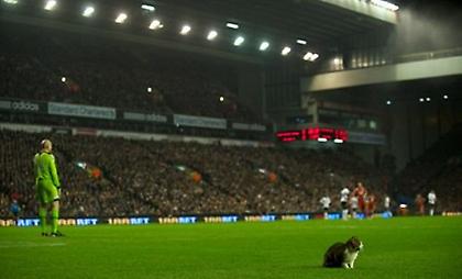 Μαύρη δεν ήταν, αλλά έκανε τη δουλειά της…