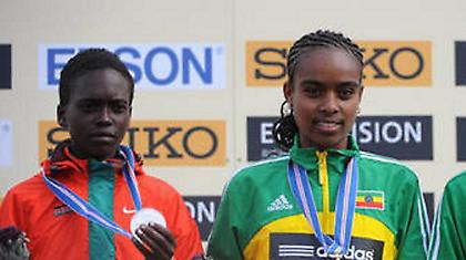 Εκδίκηση από Ντιμπάμπα