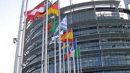 Αλληλέγγυοι στους Έλληνες οι Οικολόγοι της Γαλλίας