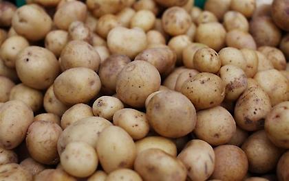 Απ’ το «τελάρο» στην «πατάτα»