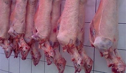 Σε εξέλιξη το κίνημα του «αρνιού»