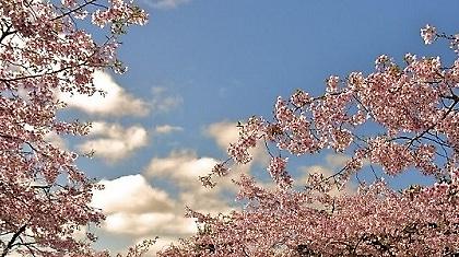 Πρόγνωση καιρού Τετάρτης, 21 Μαρτίου 2012