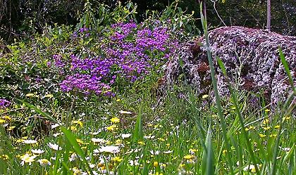Πρόγνωση καιρού Παρασκευής, 6 Απριλίου 2012