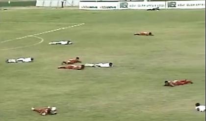 Διακοπή λόγω… μελισσών!