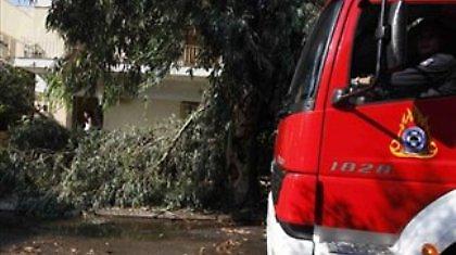 Δέντρο καταπλάκωσε νεαρή γυναίκα