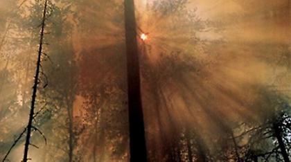 «Τhe day before»… Ευτυχώς προλαβαίνουμε!