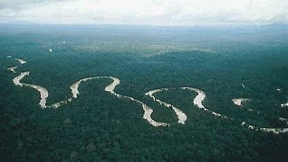 SOS εκπέμπουν τα δάση του Αμαζονίου