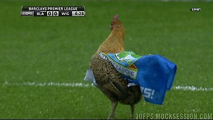 Έξω οι κότες από την Μπλάκμπερν!