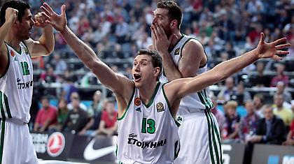 Ποια αρκούδα; Γκρίζοι λύκοι!